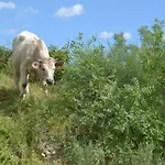 月亮乡村旅馆 招待所 坎德莱达