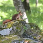 月亮乡村旅馆 2* 坎德莱达