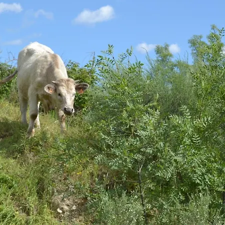 Rural Luna Y Rural Lunaposada Гостевой дом Канделеда