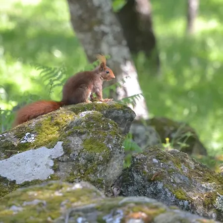 Rural Luna Y Rural Lunaposada 2* Candeleda