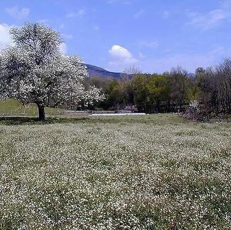 Rural Luna Y Rural Lunaposada Gæstehus