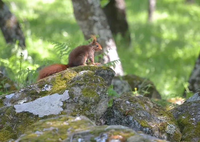 Rural Luna Y Rural Lunaposada 2* Candeleda