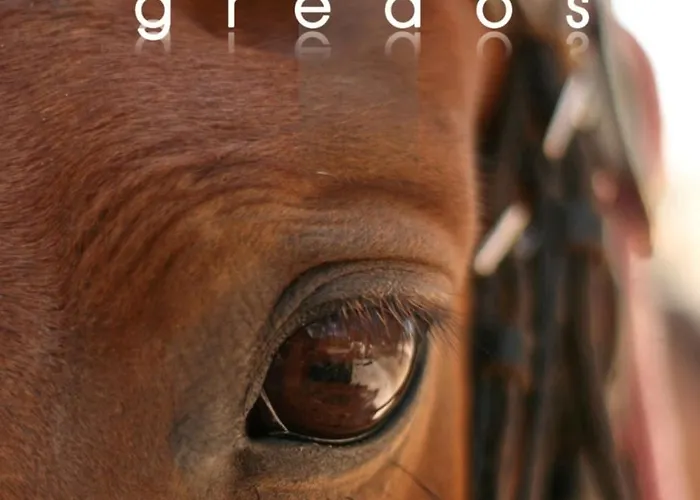 게스트하우스 Rural Luna Y Rural Lunaposada