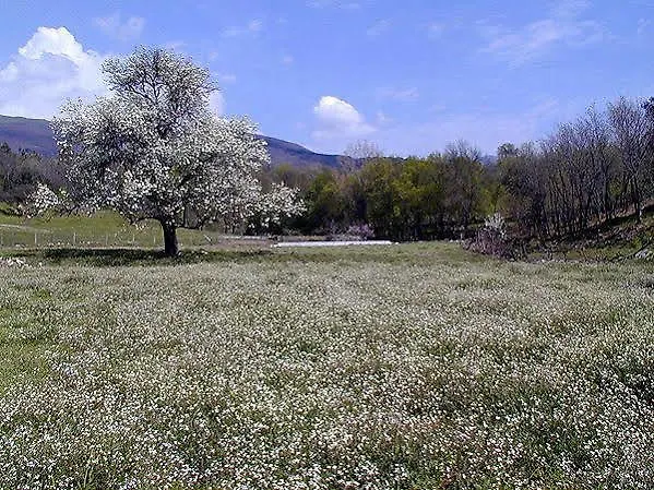 Rural Luna Y Rural Lunaposada Maison d'hôtes